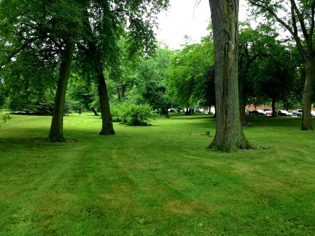 parks, nature