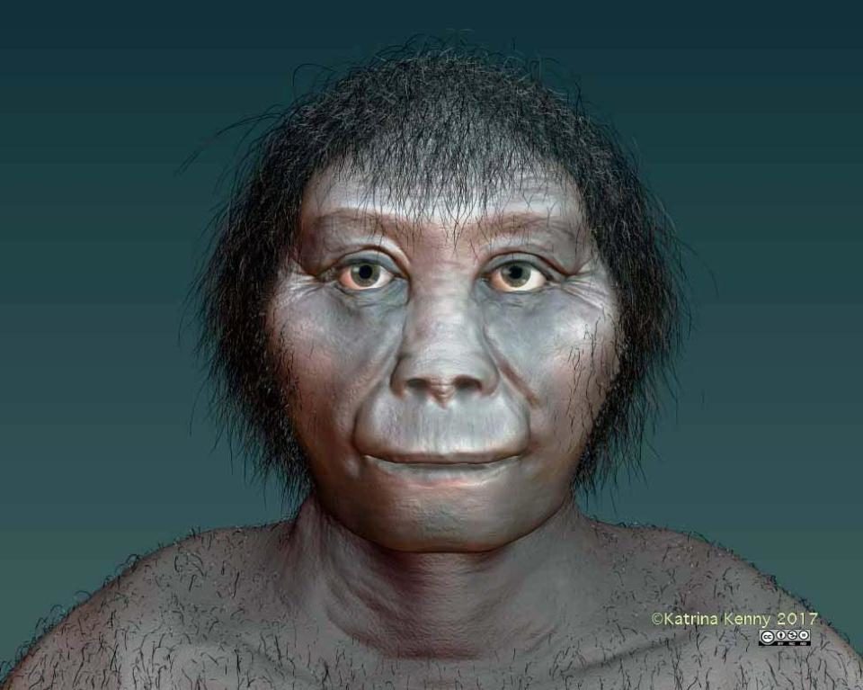 Click to enlarge Ancient hobbits