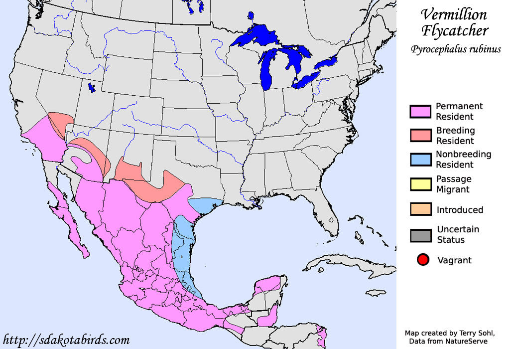 Vermillion Flycatcher Range Map