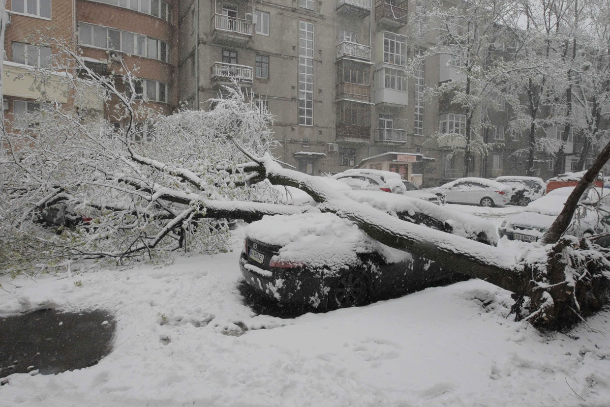 Spring snow is much heavier than winter snow, and caused this sort of damage in Kharkiv, Ukraine.