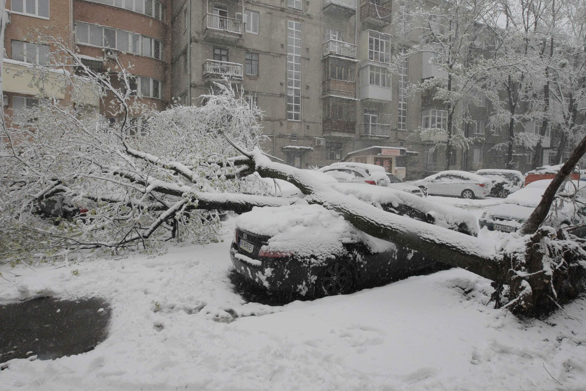 Click to enlarge Spring snow is much heavier than winter snow, and caused this sort of damage in Kharkiv, Ukraine.