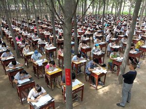 Xinxiang, Henan province