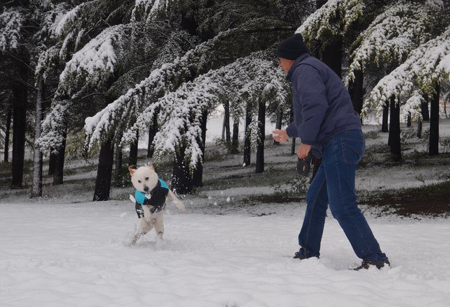 snow