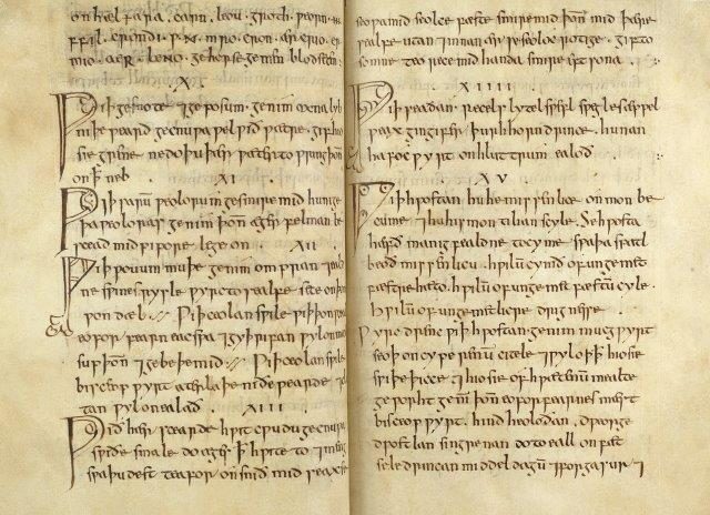 medieval medical book text