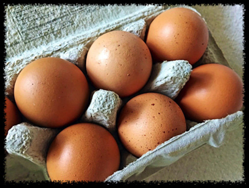 organic eggs