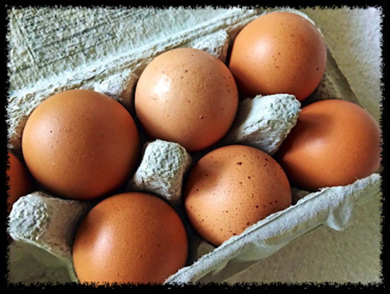 organic eggs