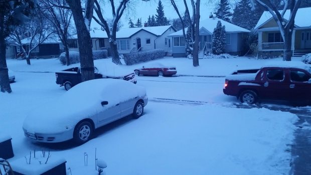 Regina residents woke up to a blanket of snow Monday morning