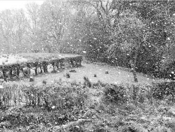 Click to enlarge A heavy flurry in Llanidloes
