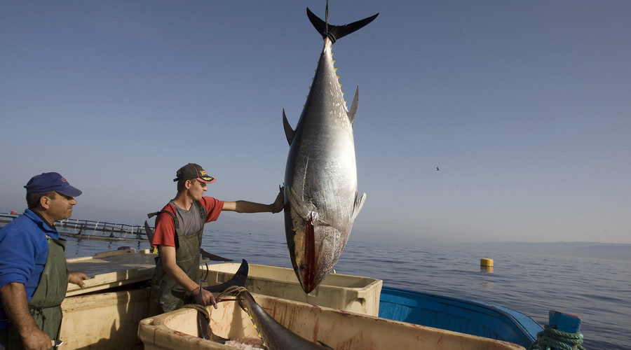 Mexican fishermen