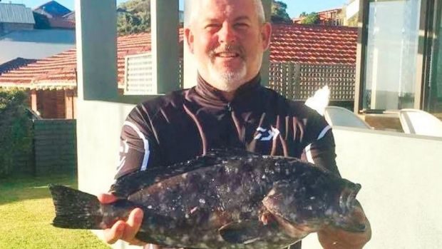 Click to enlarge Jack Burke landed a nice rankin cod out of Mindarie.