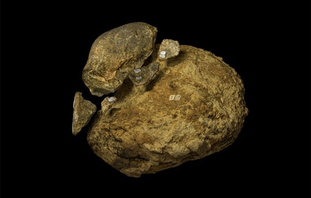 Ancient Hammer Stone