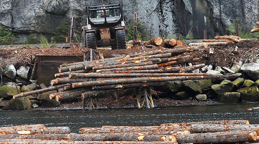 Canada logging