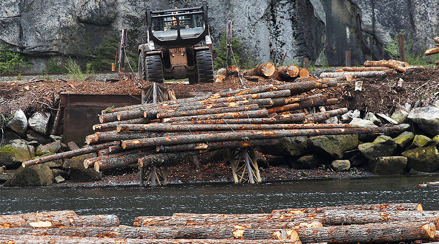Click to enlarge Canada logging