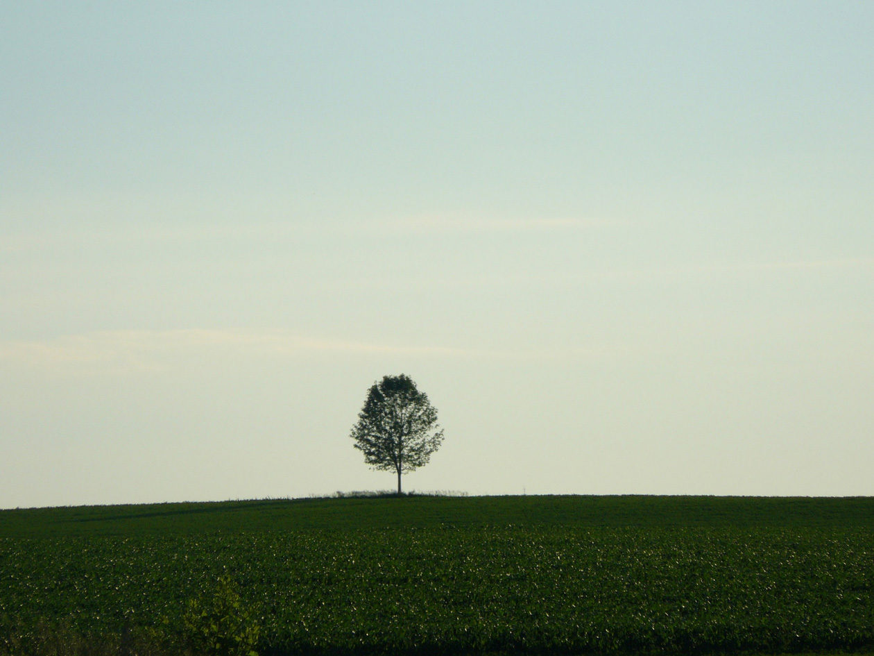 Click to enlarge solitude, nature