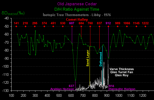 Click to enlarge Old Japanese Cedar Tree Timeline