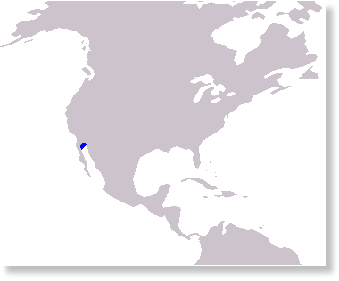 Range map for the vaquita (Phocoena sinus), a critically endangered porpoise species endemic to the northern part of the Gulf of California.