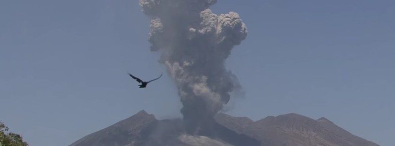 Click to enlarge sakurajima