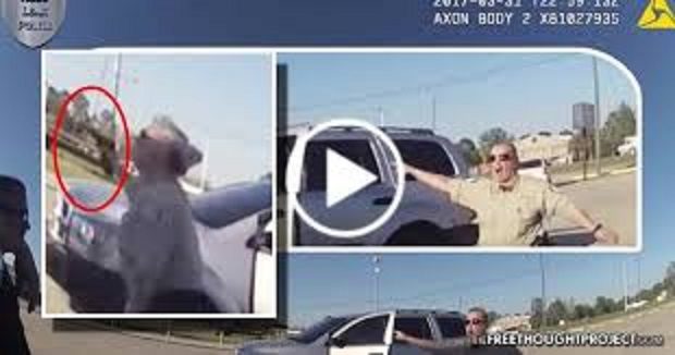 Click to enlarge Cpl. Shellie Maranto