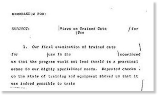 cia cat file