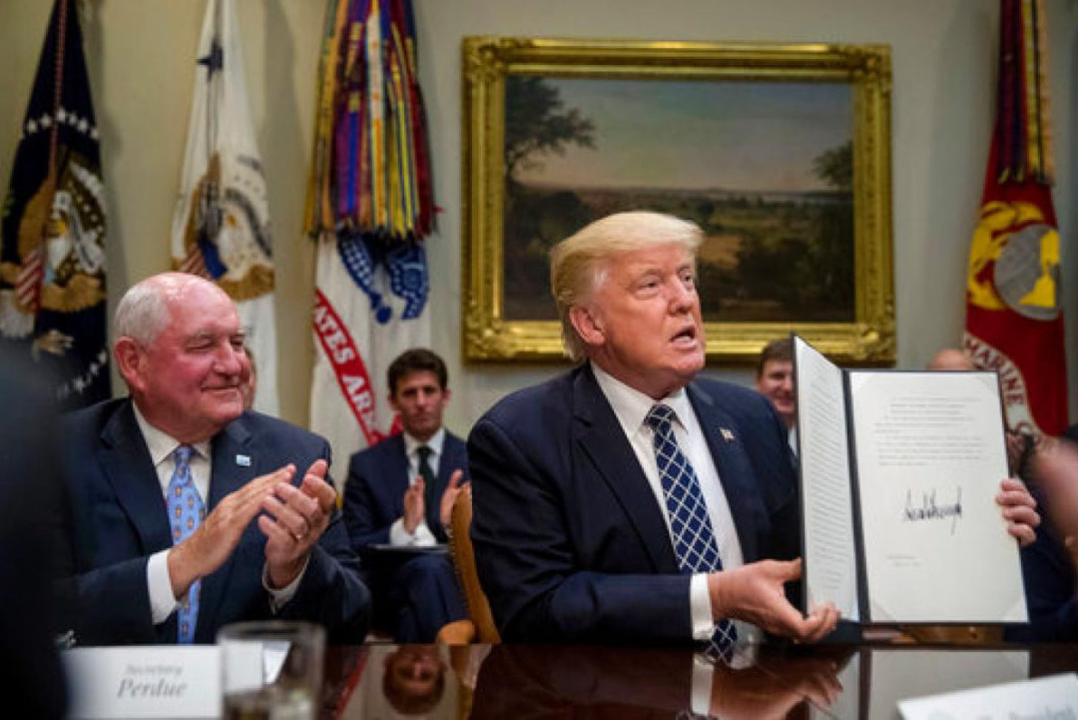 Click to enlarge Trump