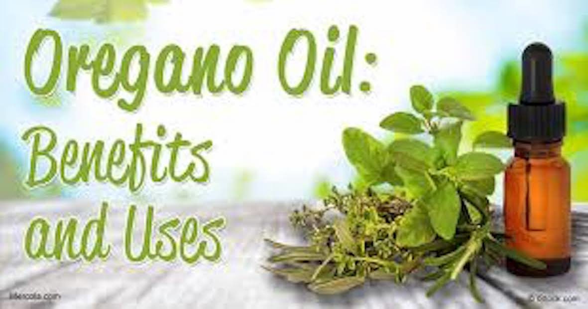 Click to enlarge oregano oil