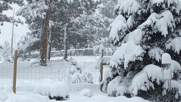 snow falls in the foothills outside of Denver