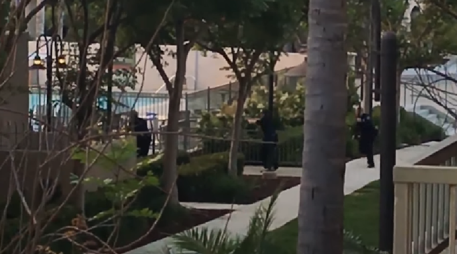 San Diego pool shooting