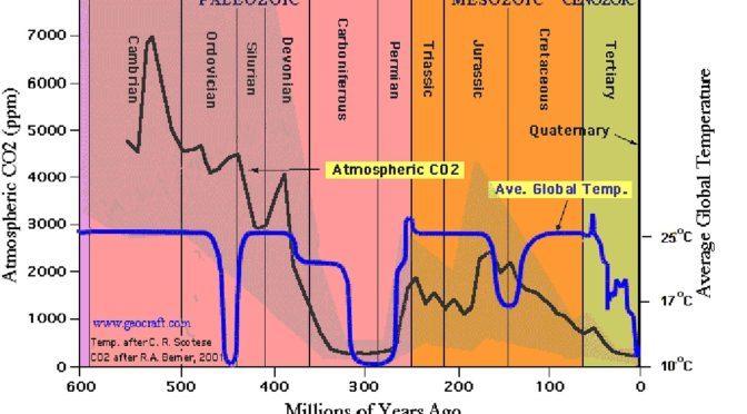CO2 levels