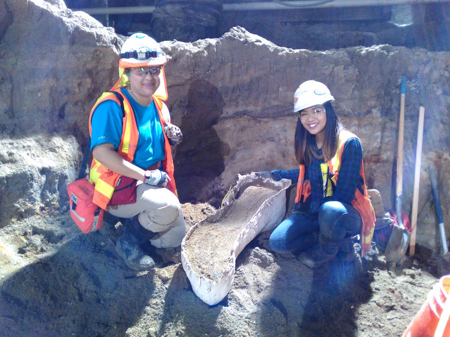 leg bone of either a mammoth