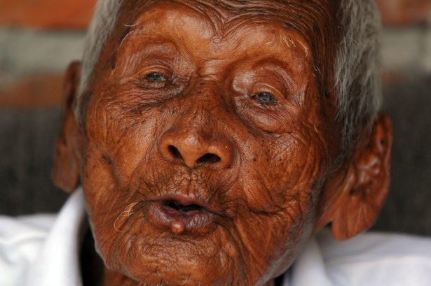 Click to enlarge Mbah Gotho