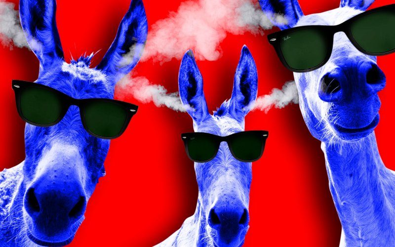 Click to enlarge blue donkeys democrats