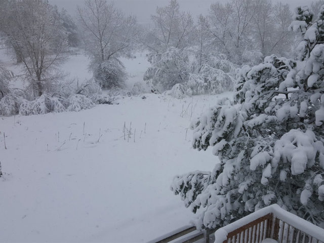 Snow in Colorado