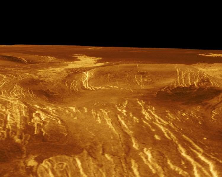 Surface of Venus