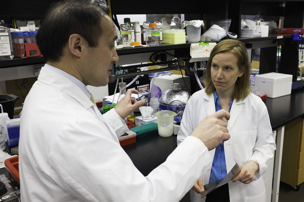 blood protein reverse heart failure