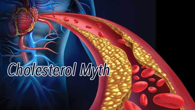 cholesterol myth