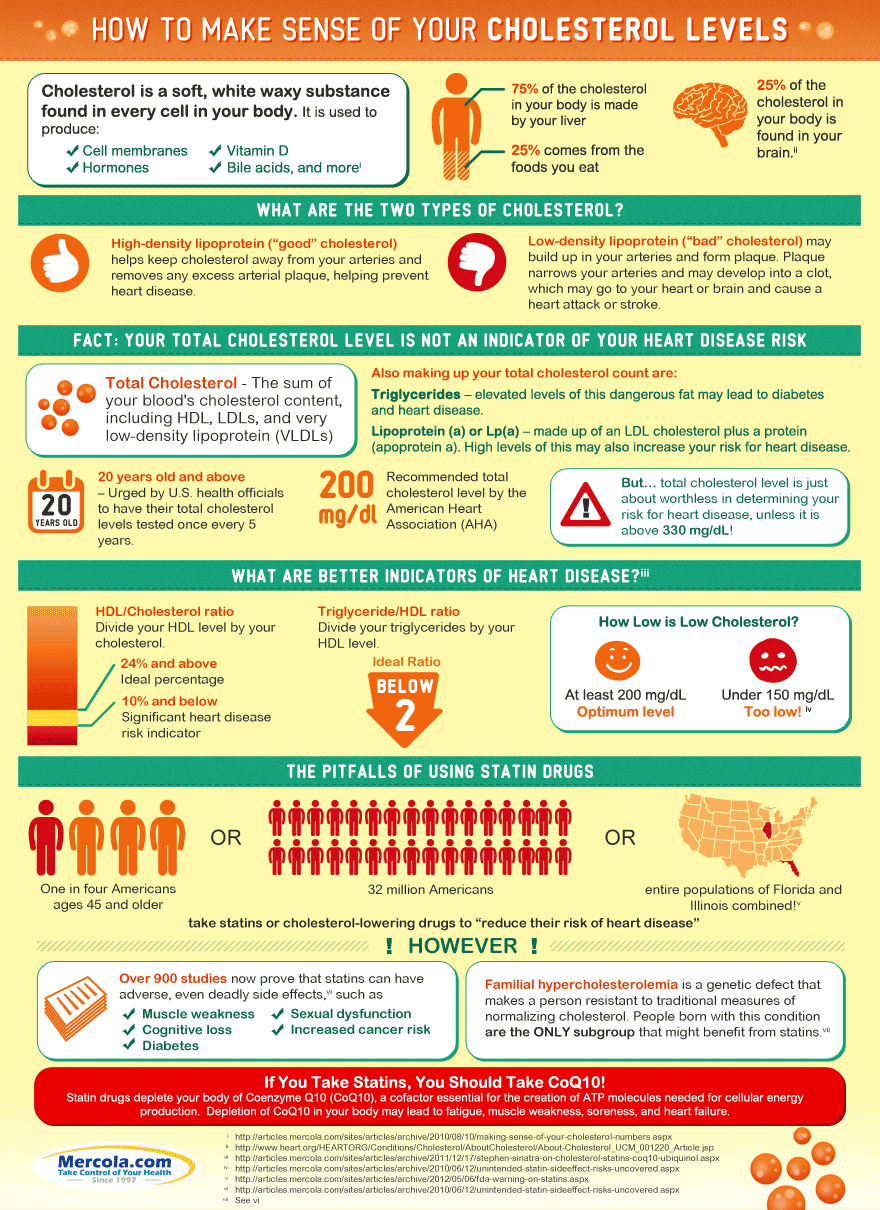 cholesterol level infographic