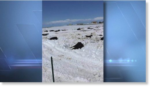   A storm that hit southeastern Colorado killed many cattle. 