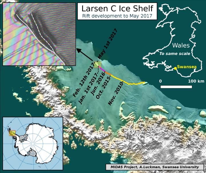 Larsen C