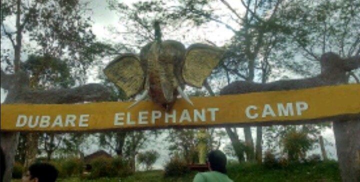 elephant camp