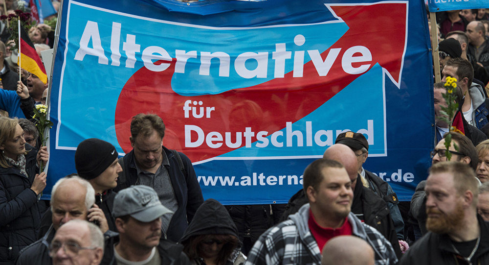 Click to enlarge German Alternative protesters