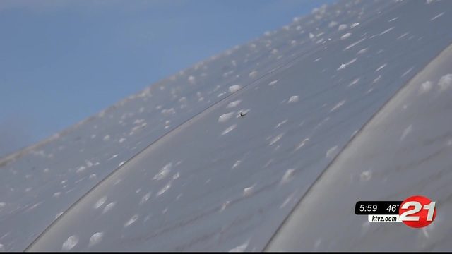 hail stones