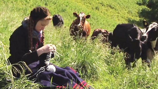 Click to enlarge Girl with cows