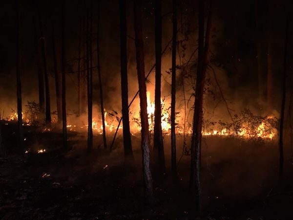 wildfire