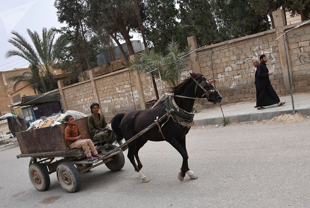 Click to enlarge wooden cart in Deir ez-Zor