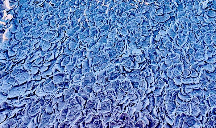 Click to enlarge surface dragon ice pattern