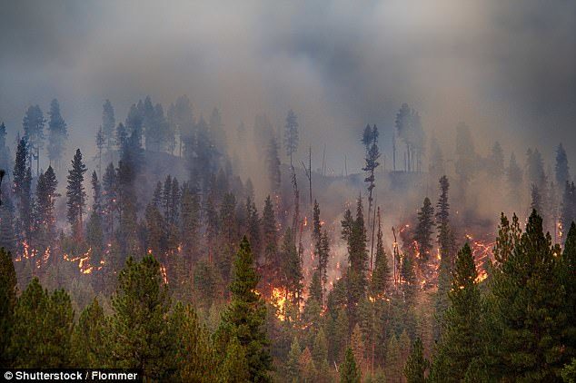 Click to enlarge Meanwhile firefighters have been battling a spate of wildfires in the countryside – as many areas are bone dry having seen little rain for months