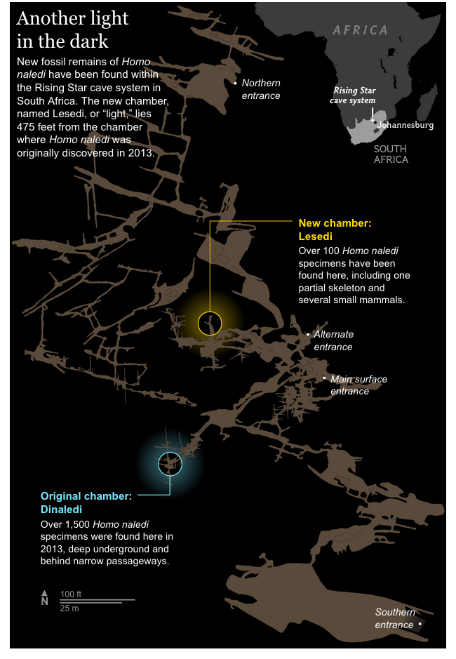 Click to enlarge fossil remains homo naledi
