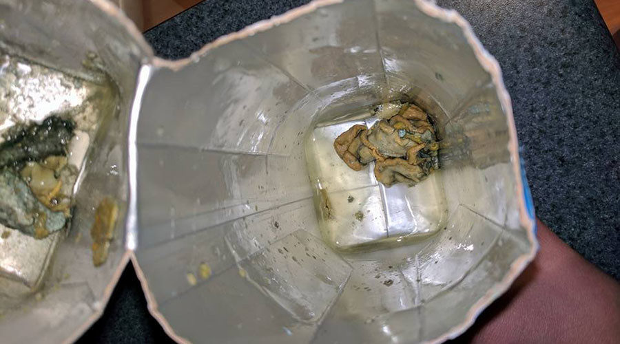 strange creature in coconut drink 