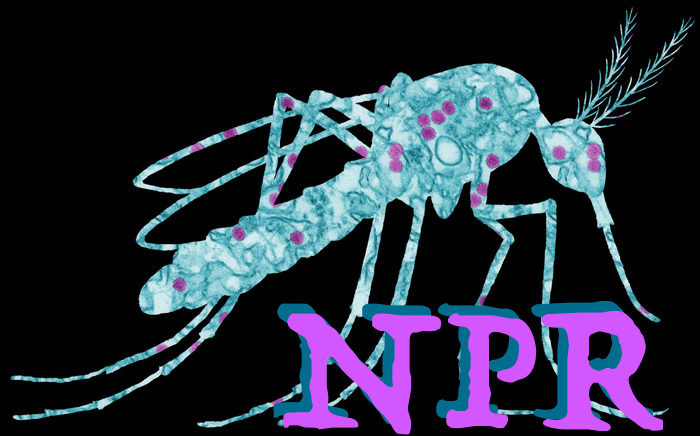 NPRadio