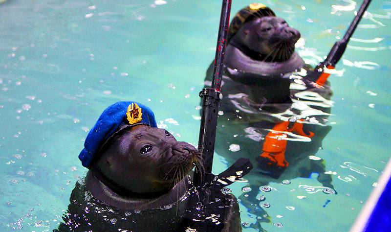 russian navy seals